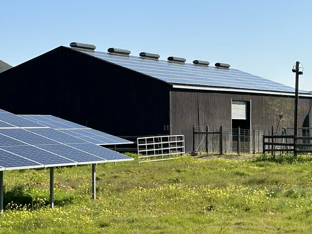 Solar panels installation for South African businesses